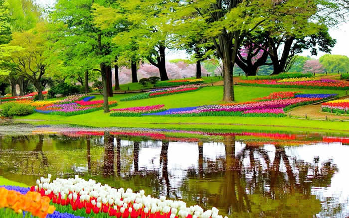 Parc floral Keukenhof Hollande Meridionale Pays Bas
